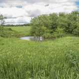 Scorgiamo lo specchio d�acqua gi� dalla strada, parzialmente celato dalle querce roverelle che lo circondano